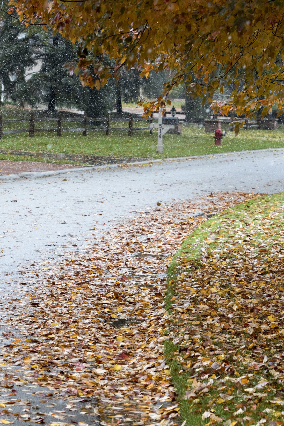 October Snow